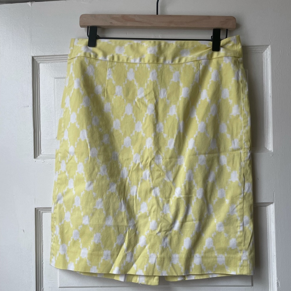 J Crew Skirt
